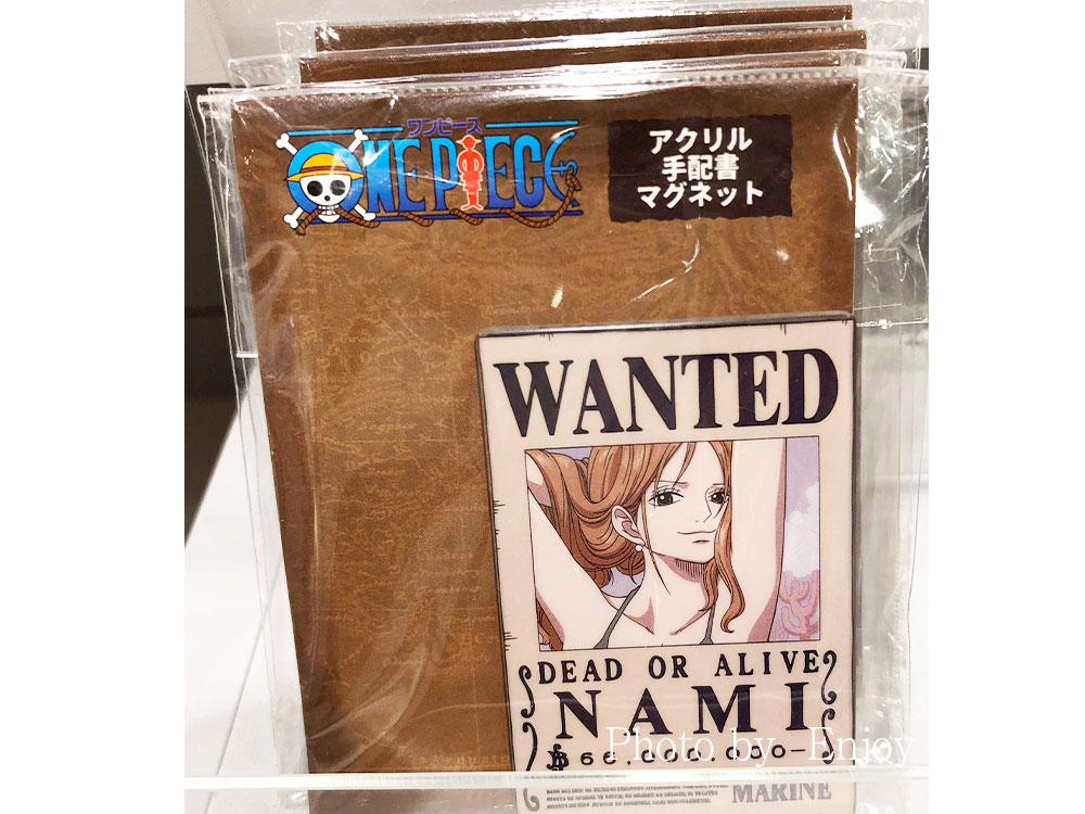 onepiece_wanted-magnet_nami